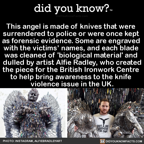 this-angel-is-made-of-knives-that-were