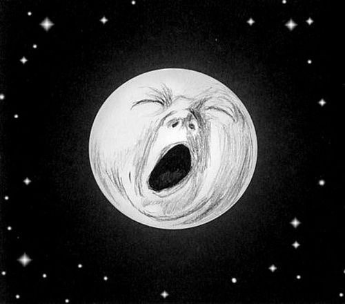 Rsultats de recherche dimages pour moonlight tumblr
