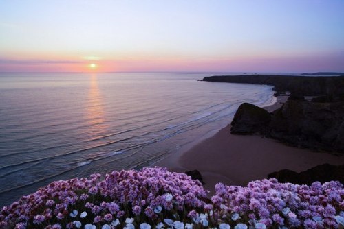 I gaze at the pink sea so pure,
A vision of delight for sure.
The sun is setting down,
But there’s no reason to frown.
I could see the ocean floor.
Look at me I’m out the door.
The sun may be gone for the day.
The moon will soon be here to play.