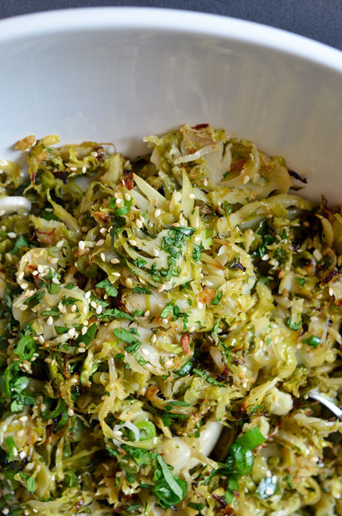 An overhead shot of a large white bowl filled with Warm Brussels Sprouts Slaw with Asian Citrus Dressing 