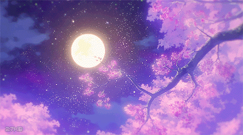 cherry blossom on Tumblr
