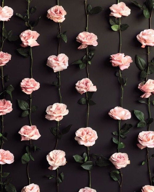 wallpaper floral pink black | Tumblr