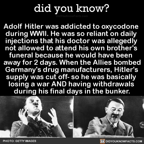 adolf-hitler-was-addicted-to-oxycodone-during