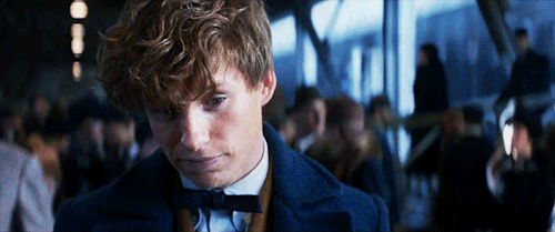 Image result for newt scamander gif