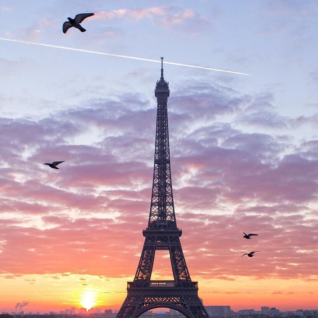 La Tour Eiffel by Emily. Bonne semaine! Have a nice week!