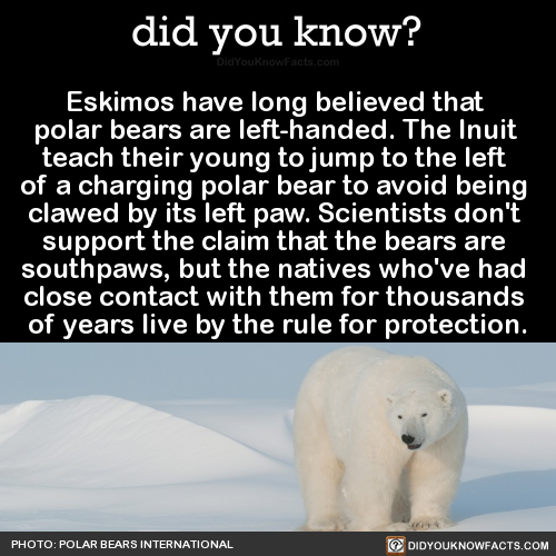 eskimos-have-long-believed-that-polar-bears-are