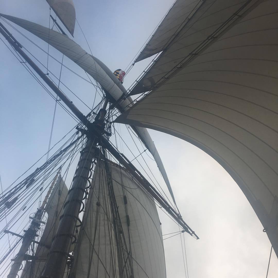 Racing in style #sailing #bermudabound #atlanticocean #tallship #squaresails #kites #prideofbaltimore #sailtraininginternational #tallshipsamerica #rdv2017