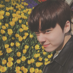 wow what a gorgeous flower? so beautiful, nature's so kind to us. those yellow things are pretty too i guess