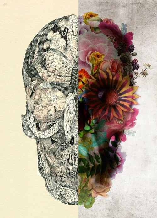 flower skull on Tumblr
