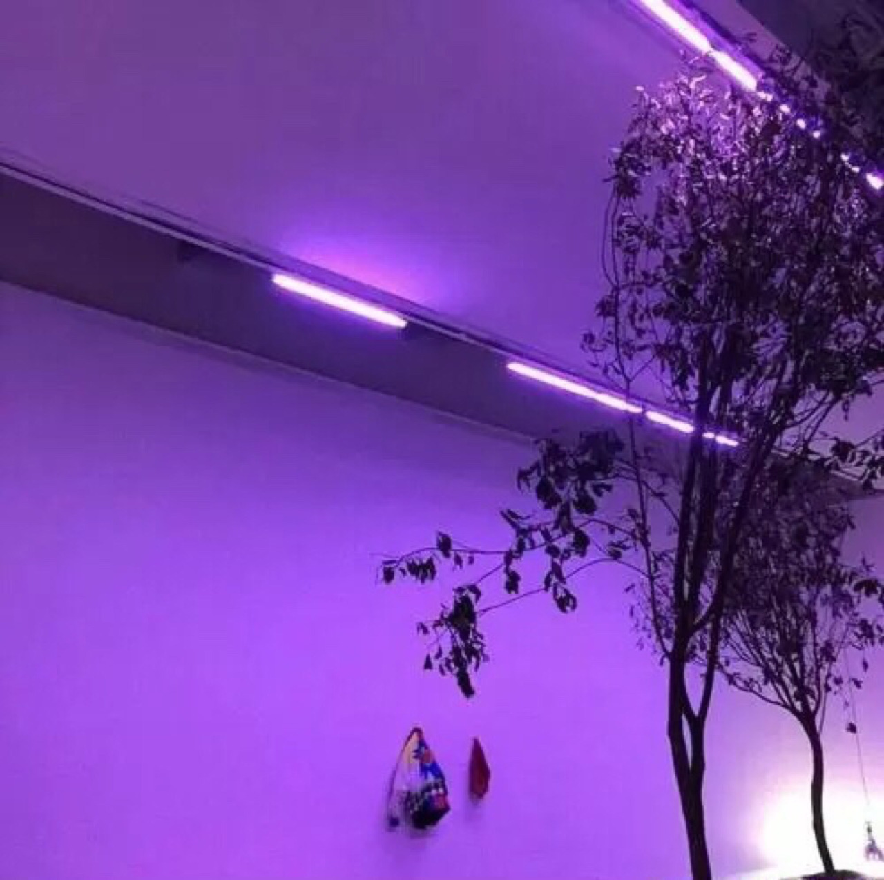 // purple aesthetic // - iridescence