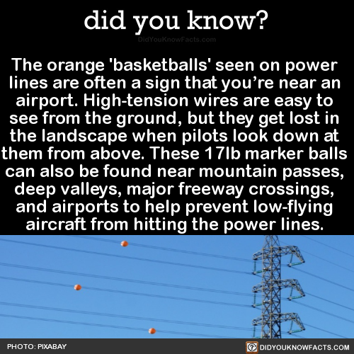 the-orange-basketballs-seen-on-power-lines-are