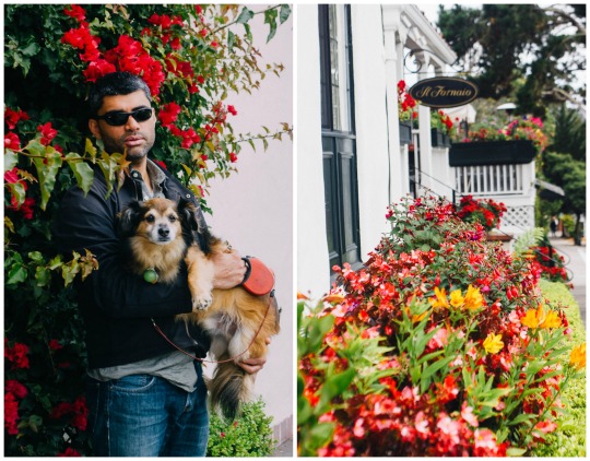 Exploring downtown Carmel with your dog