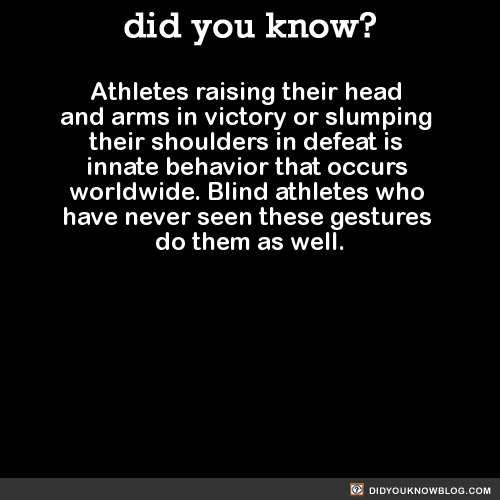 athletes-raising-their-head-and-arms-in-victory-or