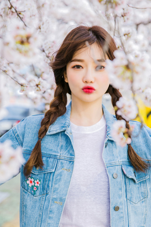 Korean cherry blossoms  Tumblr