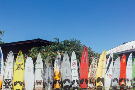 Surf shop in Maui