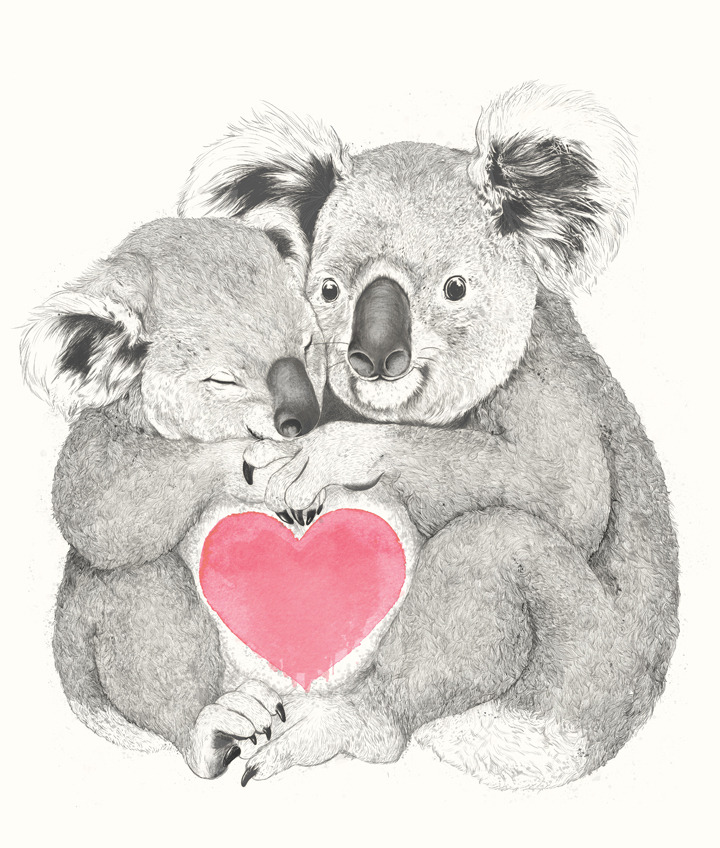 koalas love hugs…