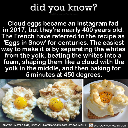 cloud-eggs-became-an-instagram-fad-in-2017-but