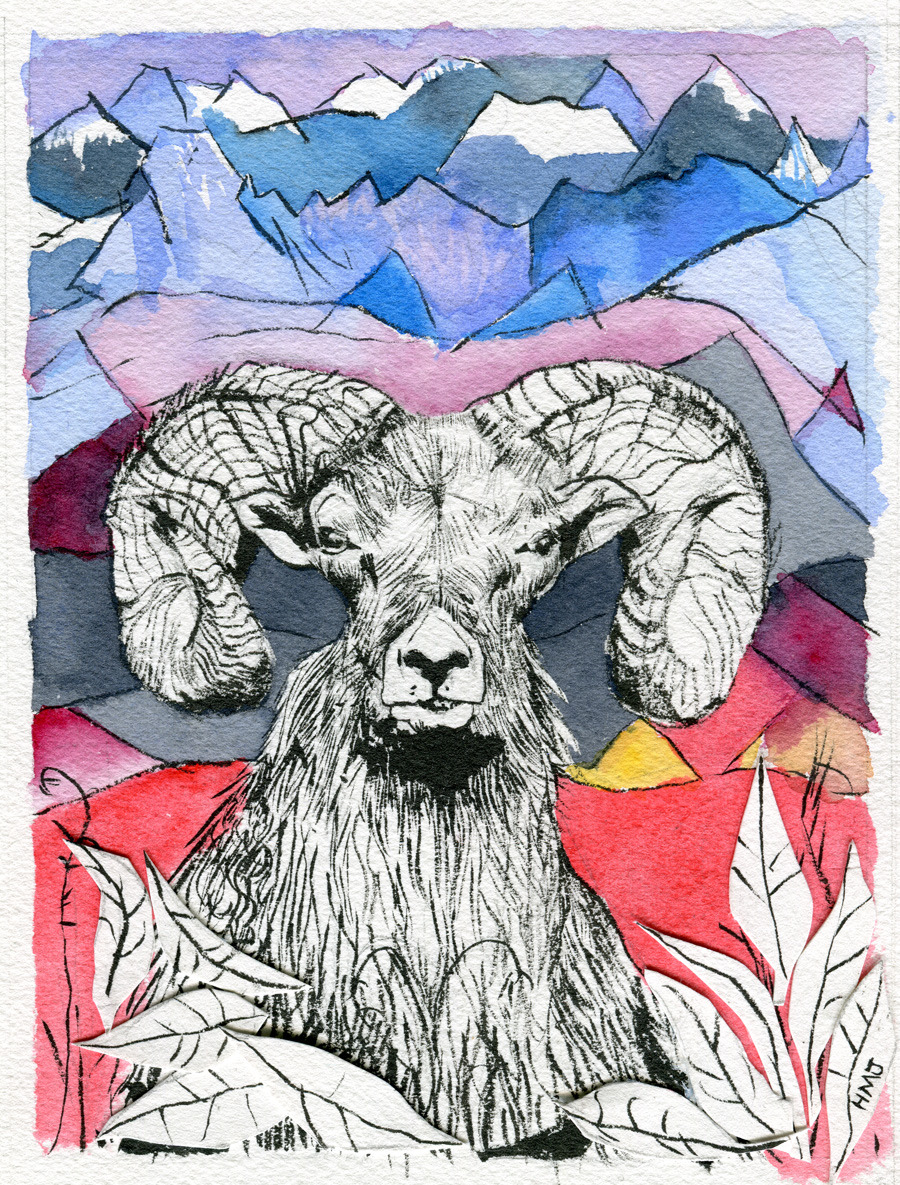Ram, April 2014 Ink brushpen, collage and watercolour on Arches cold press paper -Heather Jennings http://hethoughtofcars.tumblr.com https://twitter.com/hethjennings http://www.heathermjennings.com