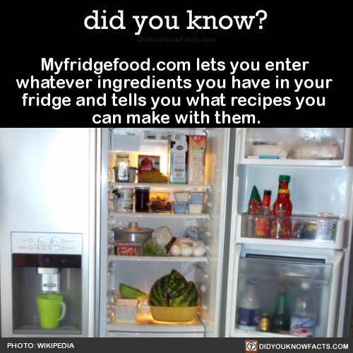 myfridgefoodcom-lets-you-enter-whatever