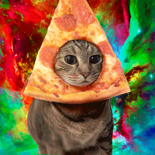 pizza cat in space Tumblr