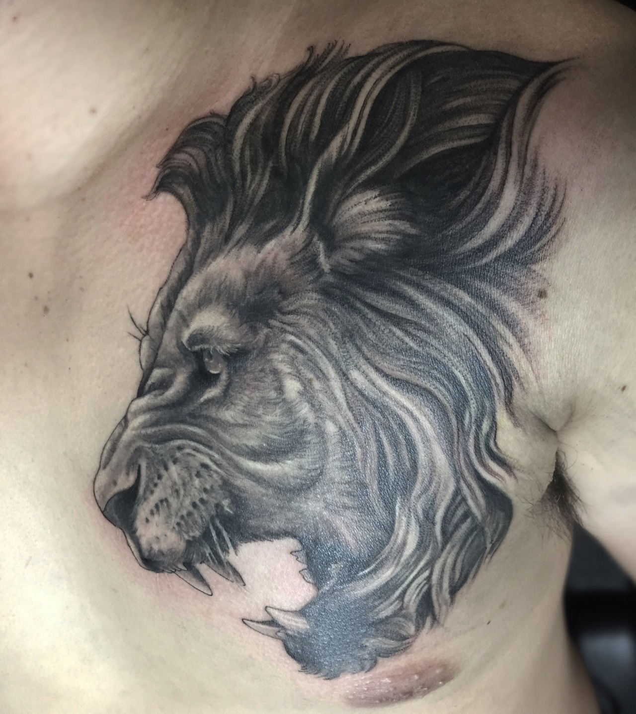 FYeahTattoos.com — Heart of a Lion tattoo Done by Eddie Lee at Ink...