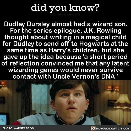 dudley-dursley-almost-had-a-wizard-son-for-the