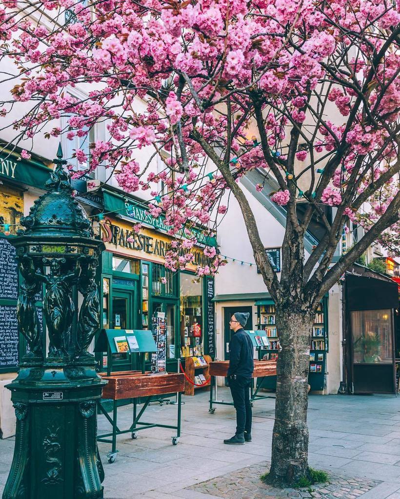 Springtime in Paris. Photo Mary Quincy.