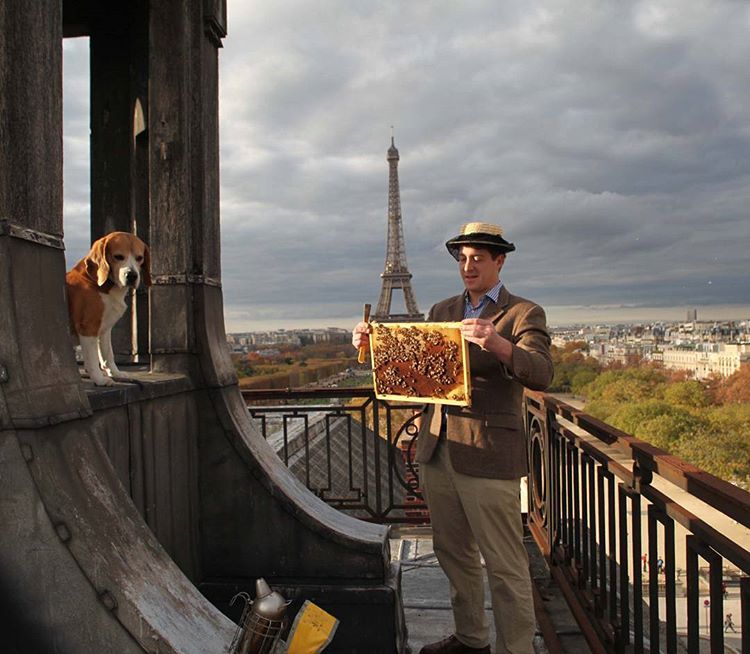 Happy bees in Paris, with the lovely beagle Filou and Audric de Campeau (le miel de Paris).