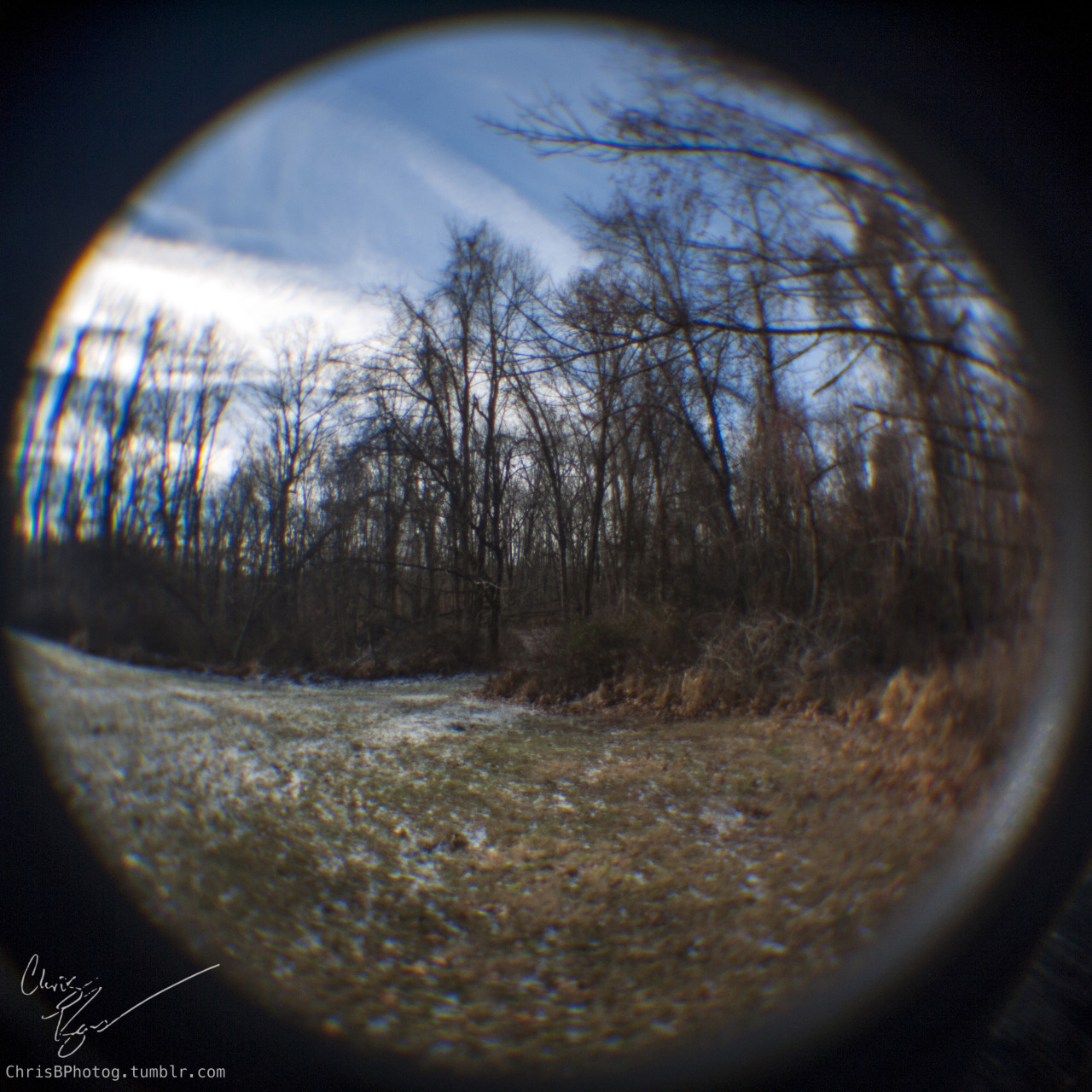 Fisheye lenses are fun. Though I haven&rsquo;t figured out what the best way to crop them is