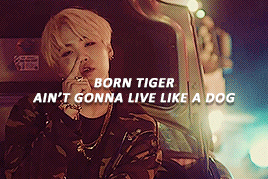 Image result for born tiger ain't gonna live like a dog