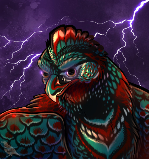 thunderbird phoenix