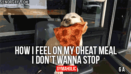 How I Feel On My Cheat Meal