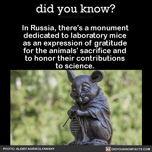 in-russia-theres-a-monument-dedicated-to