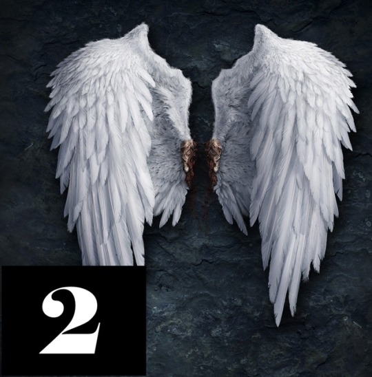 Angel wings for supernatural world.