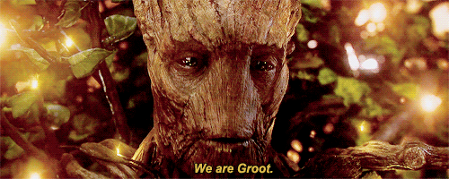 Image result for we are groot gif