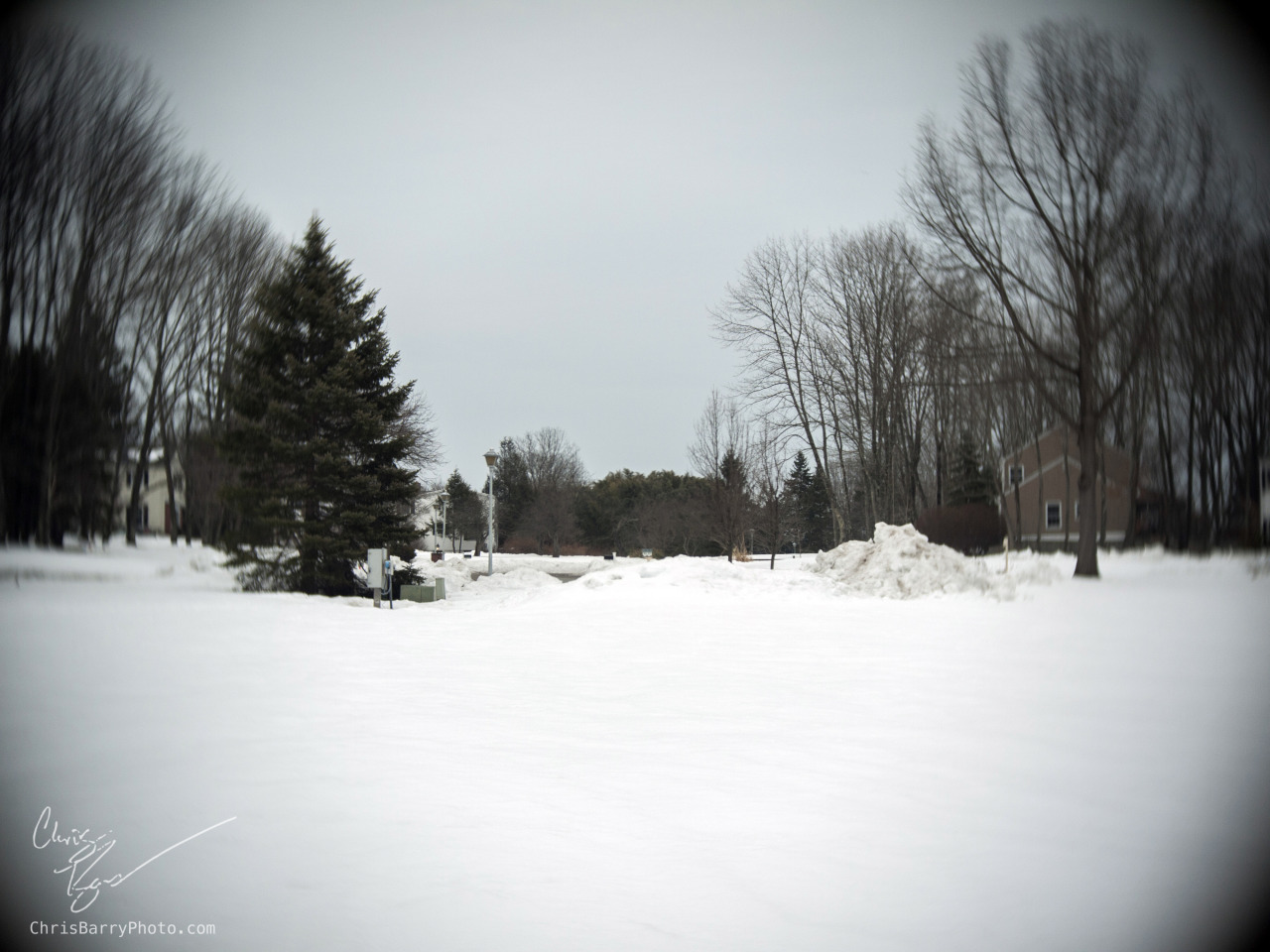 Not the best landscape lens, but the vignetting (if I can spell it) is kind of nice, I guess