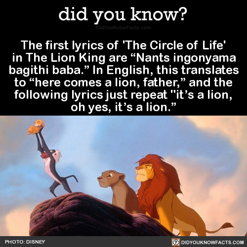 the-first-lyrics-of-the-circle-of-life-in-the