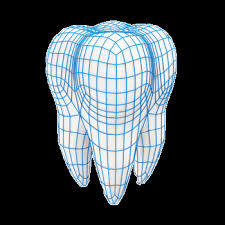 Endodontist Houston