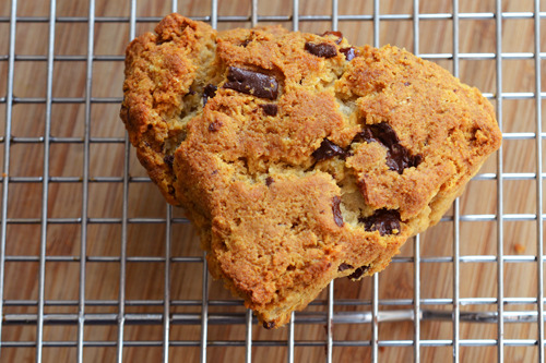 A Grain-Free Dark Chocolate Cherry Scone on a cooling rack.