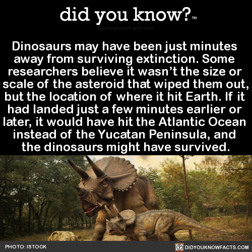 dinosaurs-may-have-been-just-minutes-away-from