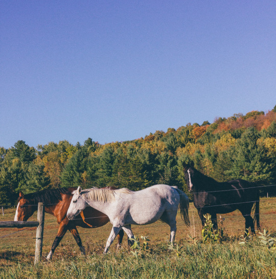 Vermont in Fall: the perfect three days in Vermont itinerary