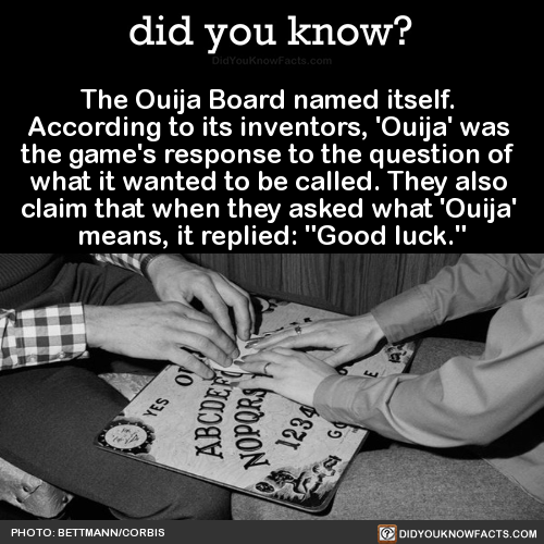 the-ouija-board-named-itself-according-to-its