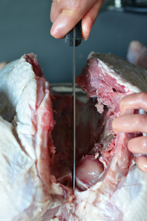 Using a knife to cut a slit in the cartilage in the breast bone to help the turkey lay flat.