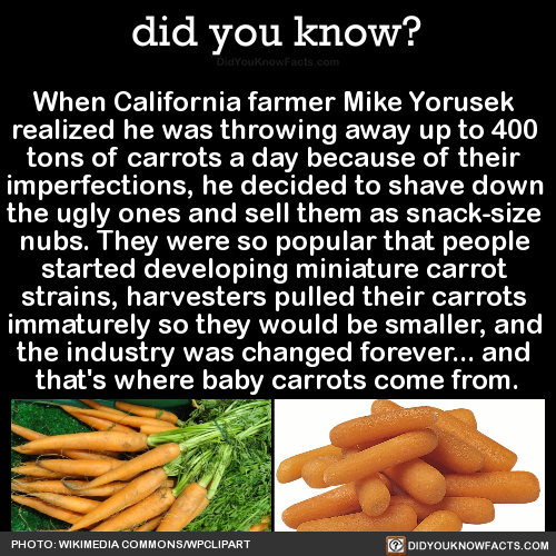 when-california-farmer-mike-yorusek-realized-he