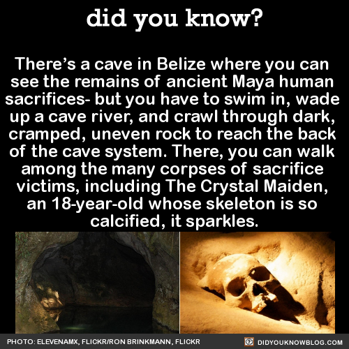 theres-a-cave-in-belize-where-you-can-see-the