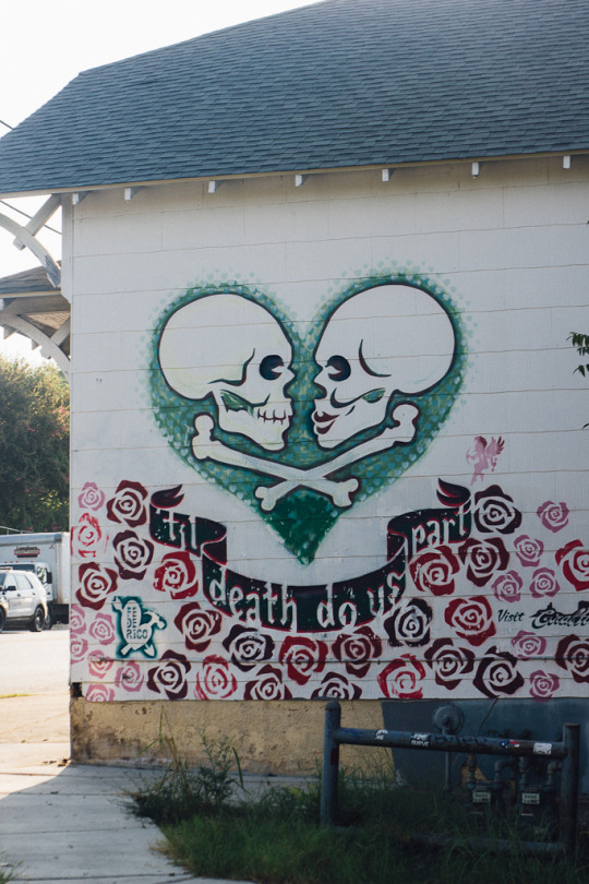 Austin murals, Instagrammable austin murals, austin street art, austin graffiti, texas