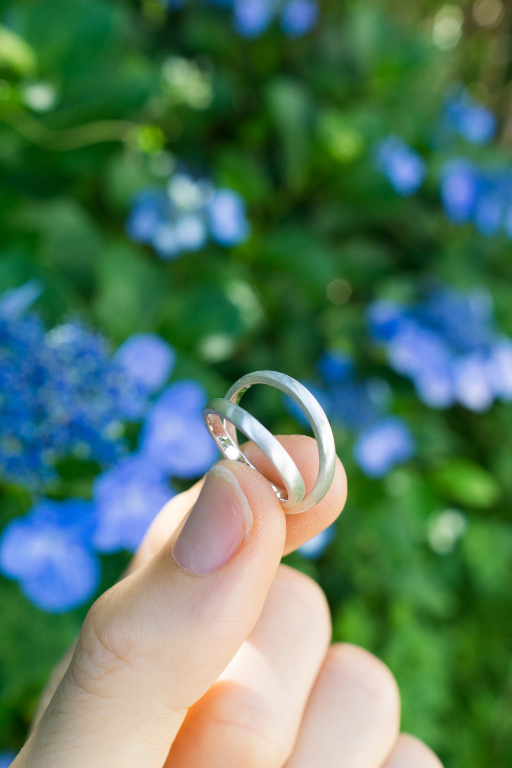屋久島の紫陽花バック　シルバーのリング　手に持って　オーダーメイドの結婚指輪