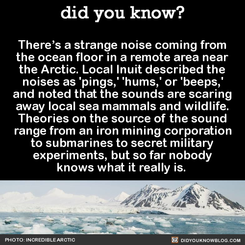 theres-a-strange-noise-coming-from-the-ocean
