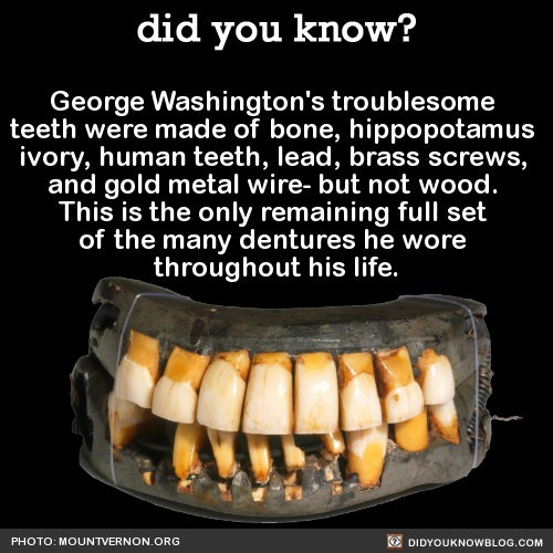 george-washingtons-troublesome-teeth-were-made-of