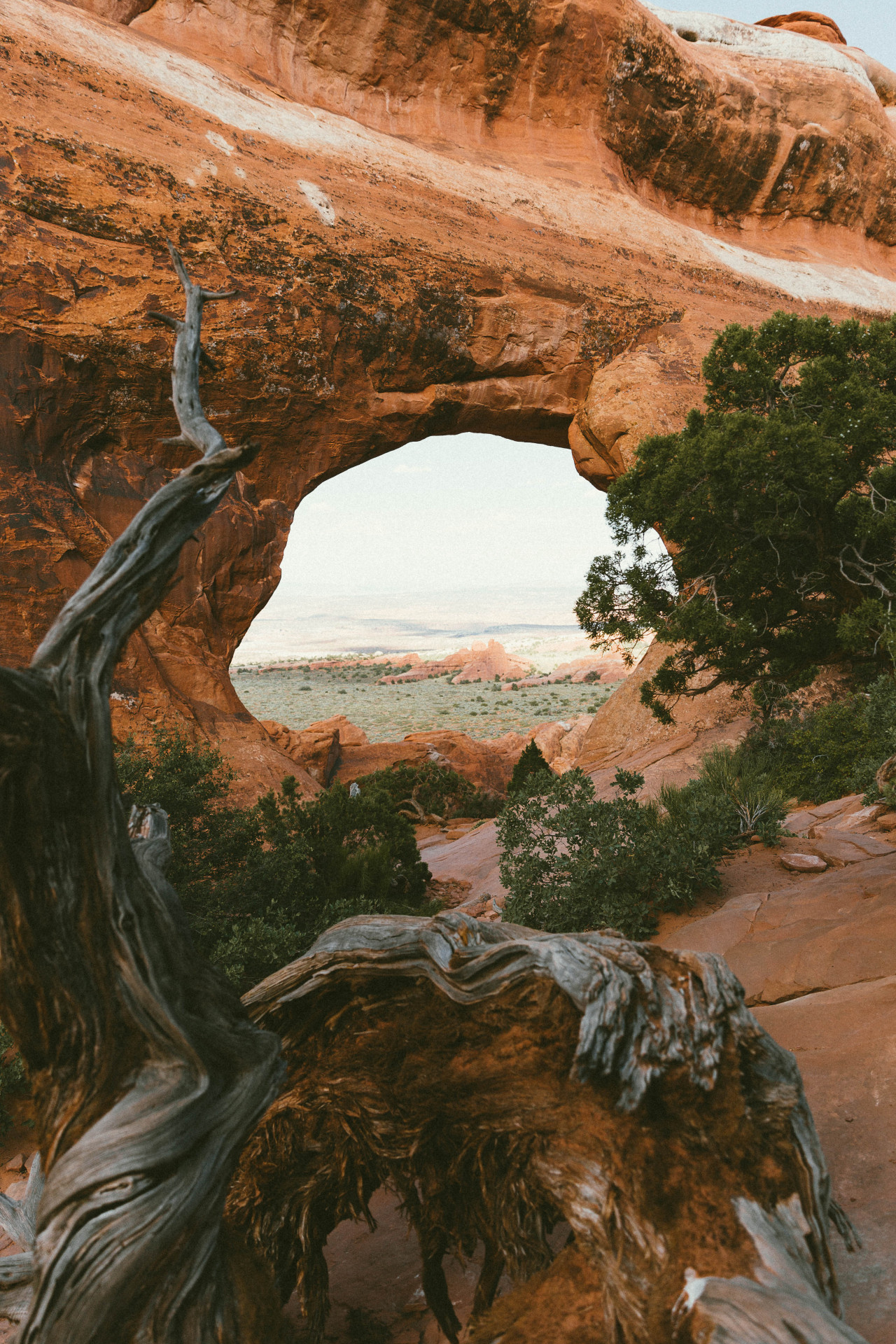 heyimchandler:
“ Looking through Partition Arch in Arches National Park
Follow me on Instagram: @chandlerbondurant
”
From here I can see
the wonderful sea.
I step through the door.
I stand at the shore.
Sand at my bare feet.
The sun shining heat.
But...